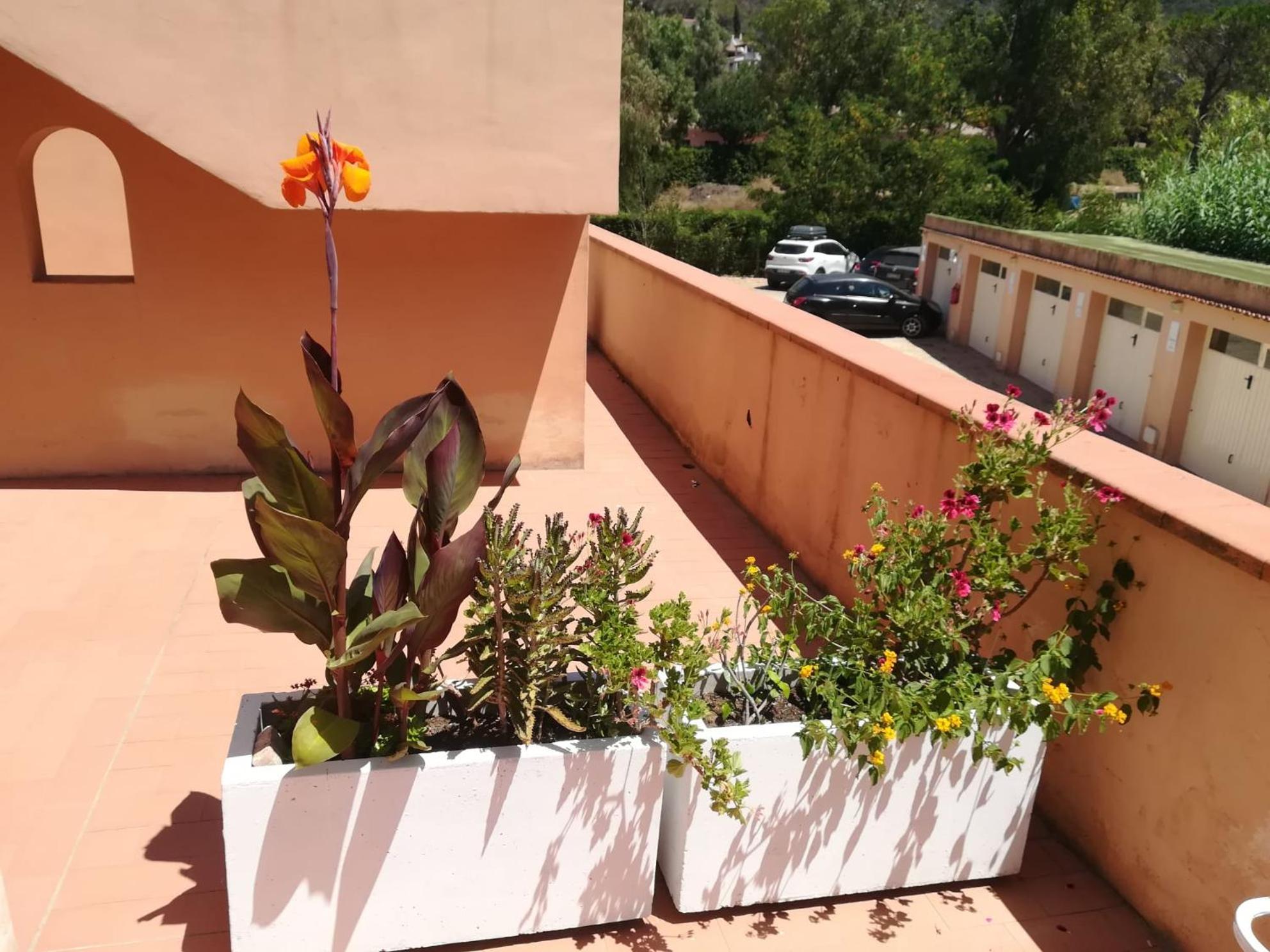 Elbamare Residence Con Piscina Nisporto Εξωτερικό φωτογραφία